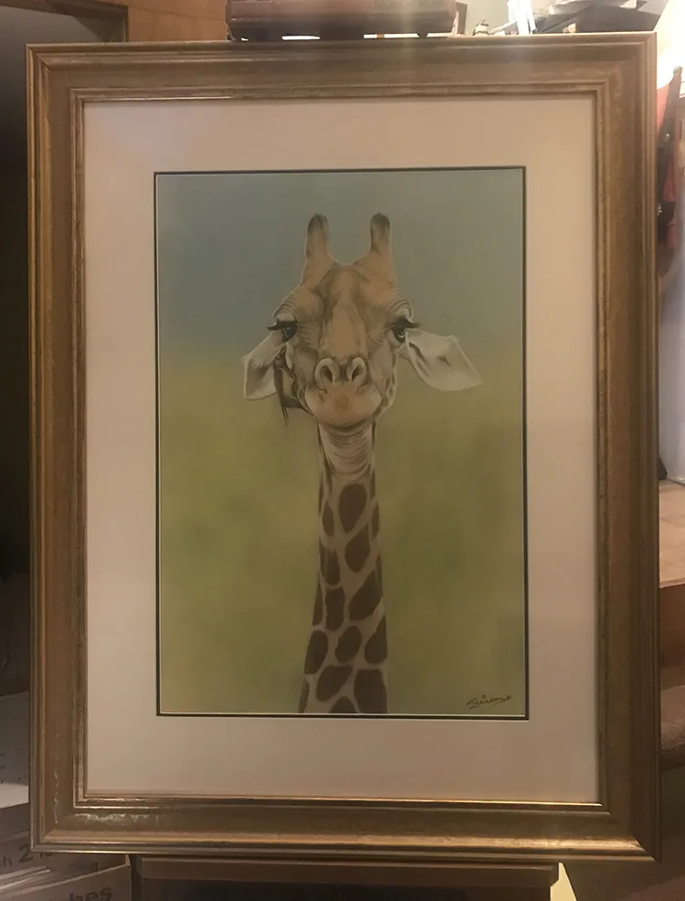 Framed with a double mount and on display in the Studio Gallery  Frame size 28in X 37in