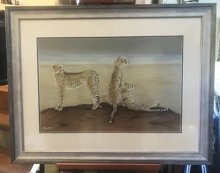Framed Image