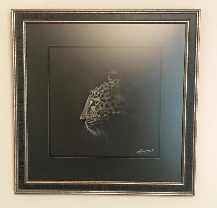 Beautifully framed, mounted  Framed size 23.5 X 23.5 inches